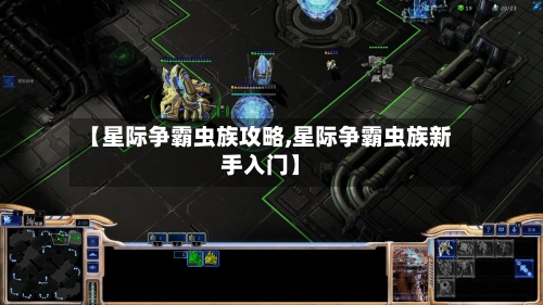 【星际争霸虫族攻略,星际争霸虫族新手入门】