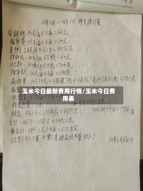 玉米今日最新费用行情/玉米今日费用表