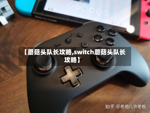 【蘑菇头队长攻略,switch蘑菇头队长攻略】-第1张图片