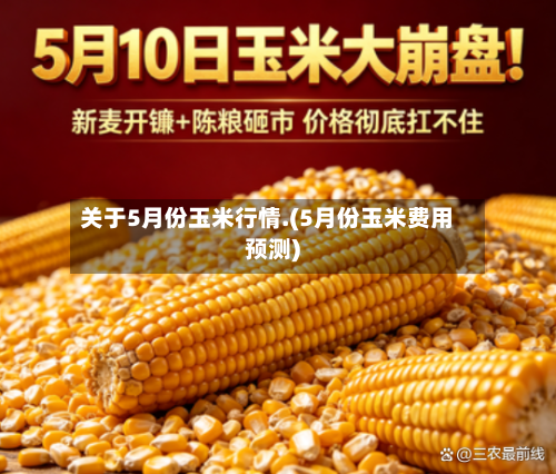 关于5月份玉米行情.(5月份玉米费用预测)-第1张图片