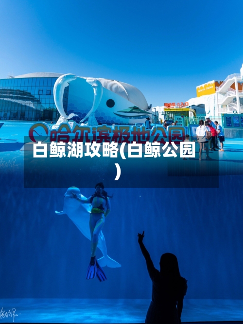白鲸湖攻略(白鲸公园)-第1张图片