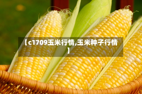【c1709玉米行情,玉米种子行情】