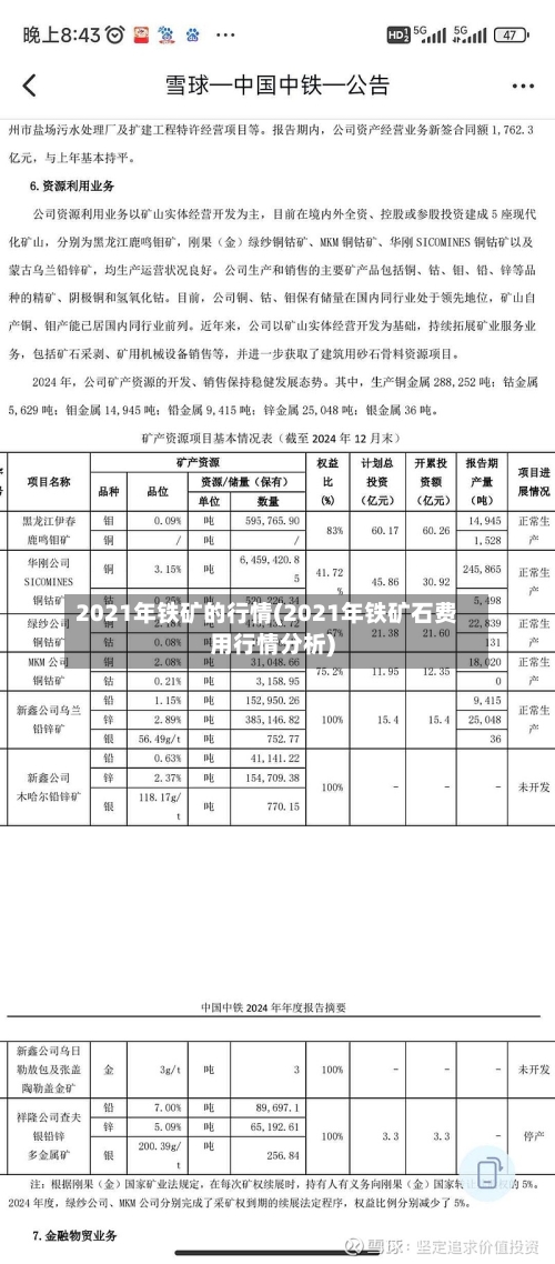 2021年铁矿的行情(2021年铁矿石费用行情分析)