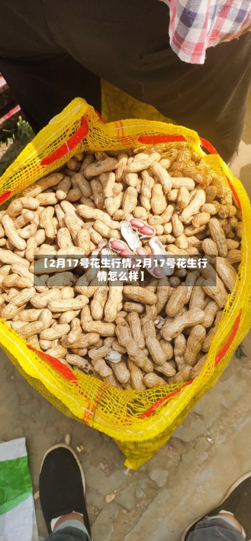 【2月17号花生行情,2月17号花生行情怎么样】