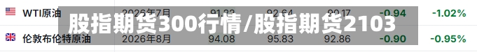股指期货300行情/股指期货2103