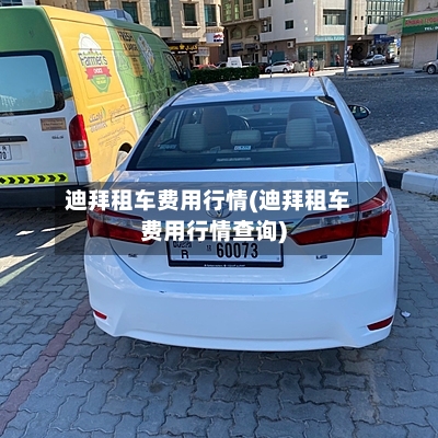 迪拜租车费用行情(迪拜租车费用行情查询)