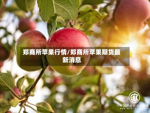 郑商所苹果行情/郑商所苹果期货最新消息