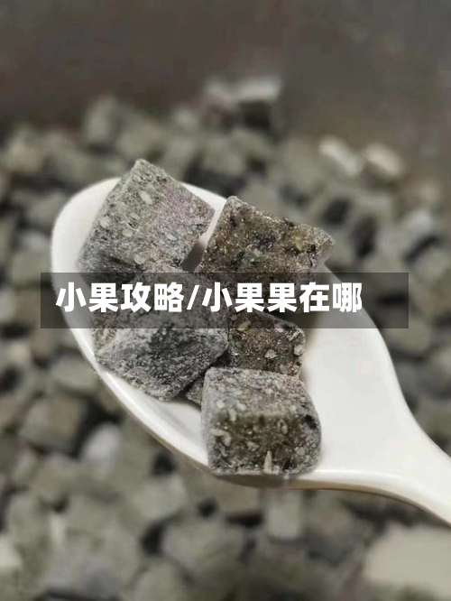 小果攻略/小果果在哪