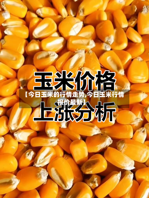 【今日玉米的行情走势,今日玉米行情报价最新】-第1张图片
