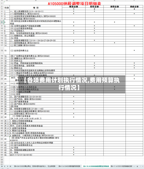 【各项费用计划执行情况,费用预算执行情况】-第1张图片