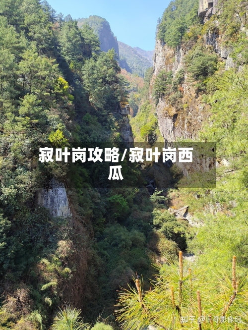 寂叶岗攻略/寂叶岗西瓜-第1张图片