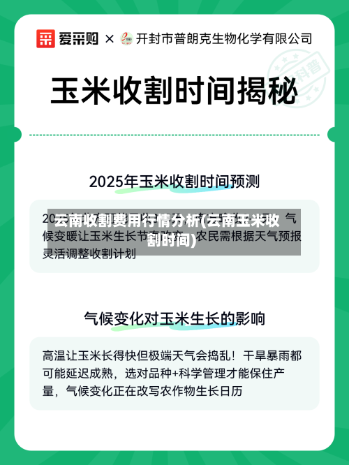 云南收割费用行情分析(云南玉米收割时间)-第1张图片