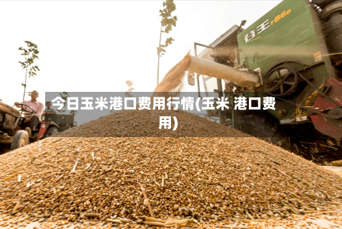 今日玉米港口费用行情(玉米 港口费用)-第1张图片