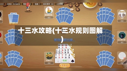 十三水攻略(十三水规则图解)-第1张图片