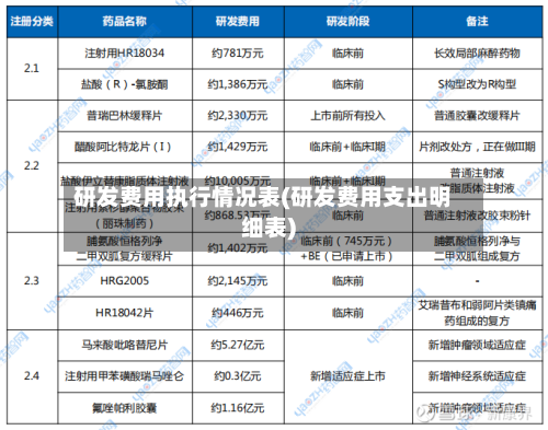 研发费用执行情况表(研发费用支出明细表)-第1张图片