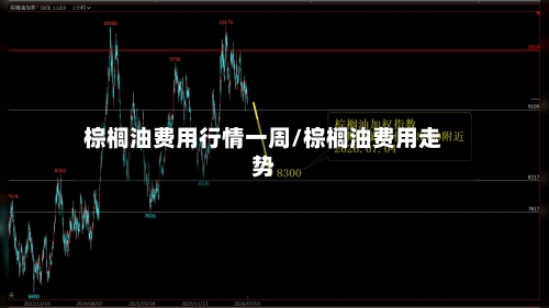 棕榈油费用行情一周/棕榈油费用走势-第1张图片