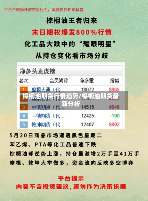 棕榈油期货行情趋势/棕榈油期货最新分析-第1张图片