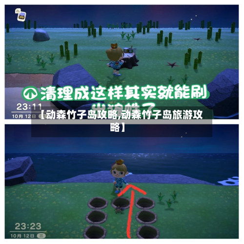 【动森竹子岛攻略,动森竹子岛旅游攻略】-第1张图片