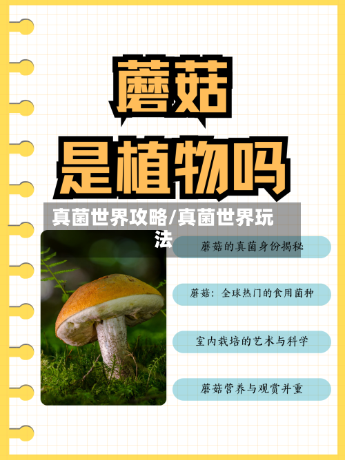 真菌世界攻略/真菌世界玩法-第1张图片