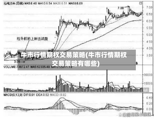 牛市行情期权交易策略(牛市行情期权交易策略有哪些)-第1张图片