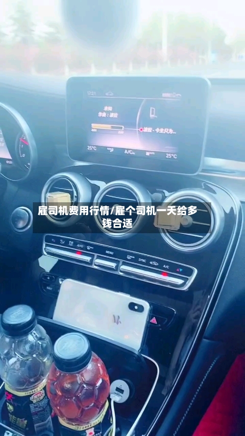 雇司机费用行情/雇个司机一天给多钱合适-第1张图片
