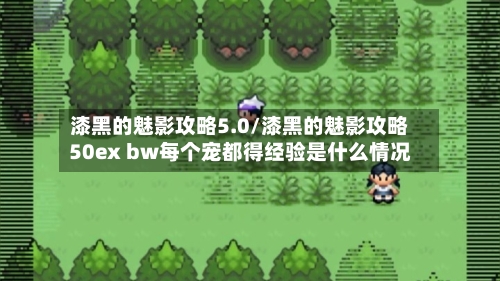 漆黑的魅影攻略5.0/漆黑的魅影攻略50ex bw每个宠都得经验是什么情况-第1张图片