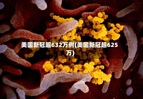 美国新冠超632万例(美国新冠超625万)-第1张图片