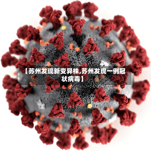 【苏州发现新变异株,苏州发现一例冠状病毒】-第1张图片