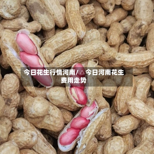 今日花生行情河南/△今日河南花生费用走势-第1张图片