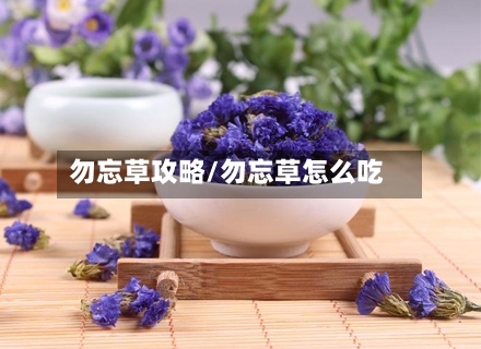 勿忘草攻略/勿忘草怎么吃-第1张图片