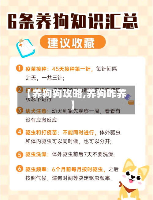 【养狗狗攻略,养狗咋养】-第1张图片