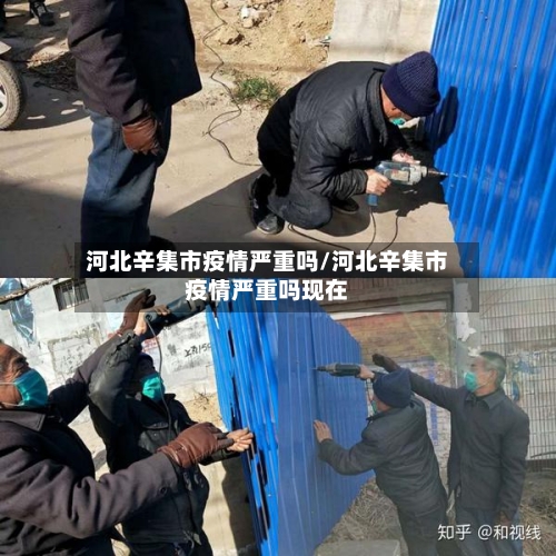 河北辛集市疫情严重吗/河北辛集市疫情严重吗现在-第1张图片