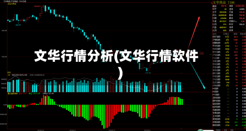 文华行情分析(文华行情软件)-第1张图片