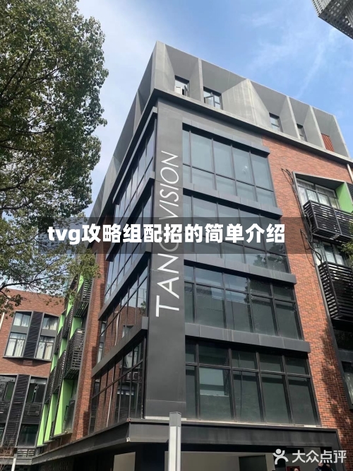 tvg攻略组配招的简单介绍-第1张图片