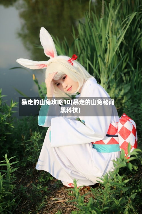 暴走的山兔攻略10(暴走的山兔秘闻 黑科技)-第1张图片