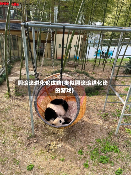 圆滚滚进化论攻略(类似圆滚滚进化论的游戏)-第1张图片