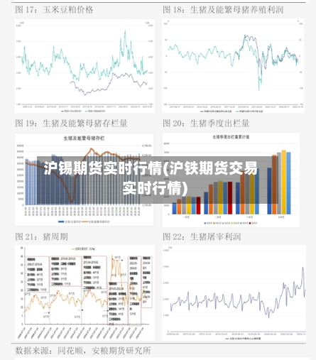 沪锡期货实时行情(沪铁期货交易实时行情)-第1张图片