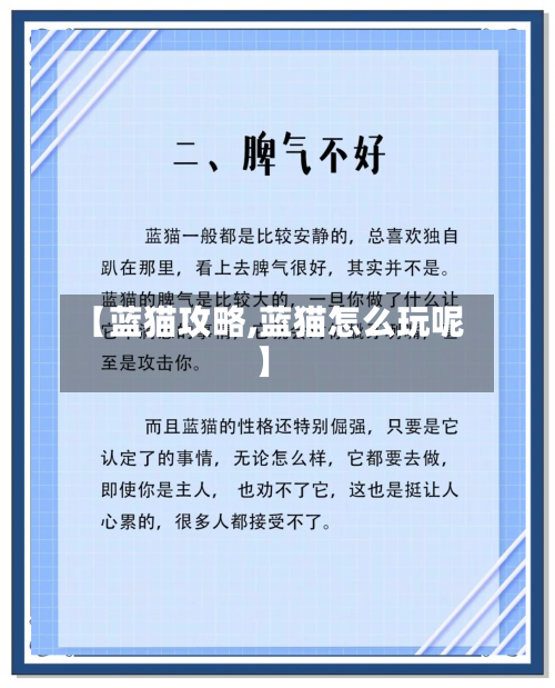 【蓝猫攻略,蓝猫怎么玩呢】-第1张图片