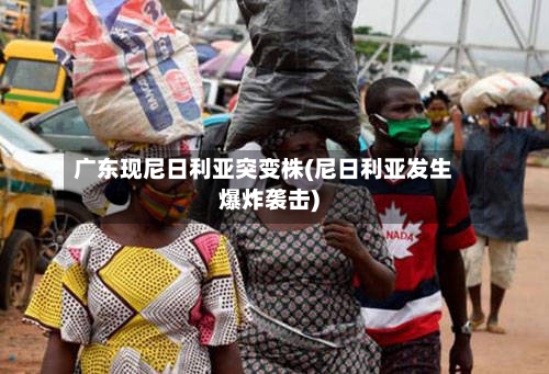 广东现尼日利亚突变株(尼日利亚发生爆炸袭击)-第1张图片