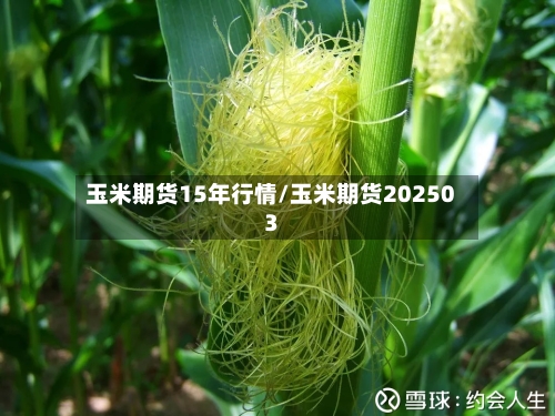 玉米期货15年行情/玉米期货202503-第1张图片
