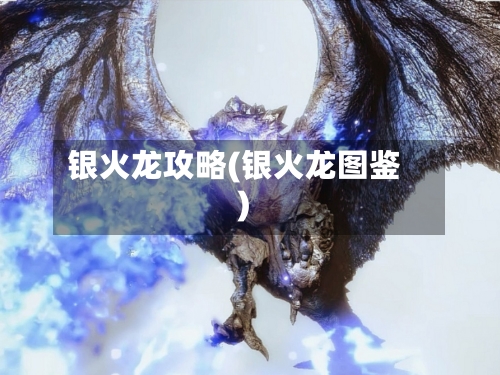 银火龙攻略(银火龙图鉴)-第1张图片