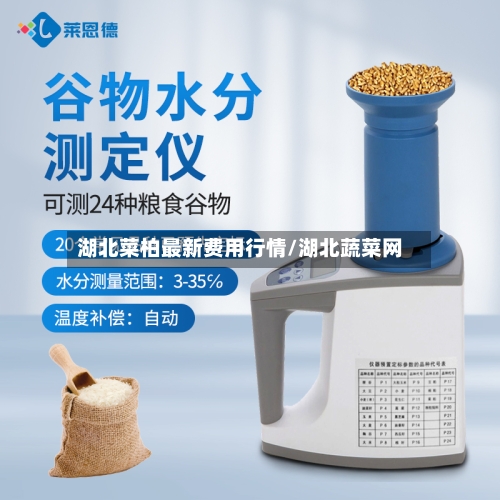 湖北菜柏最新费用行情/湖北蔬菜网-第1张图片