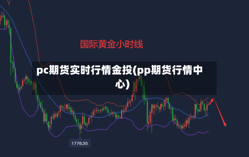 pc期货实时行情金投(pp期货行情中心)-第1张图片
