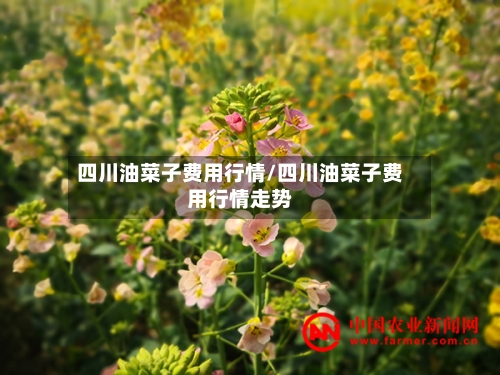 四川油菜子费用行情/四川油菜子费用行情走势-第1张图片