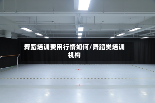 舞蹈培训费用行情如何/舞蹈类培训机构-第1张图片