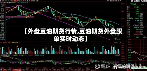 【外盘豆油期货行情,豆油期货外盘跟单实时动态】-第1张图片