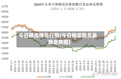今日期货棉花行情(今日棉花期货最新走势图)-第1张图片