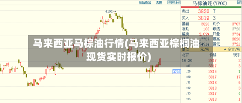 马来西亚马棕油行情(马来西亚棕榈油现货实时报价)-第1张图片
