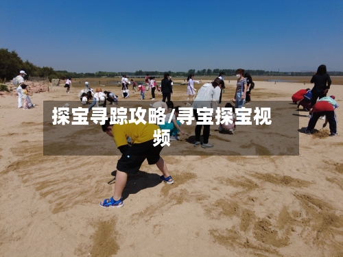 探宝寻踪攻略/寻宝探宝视频-第1张图片