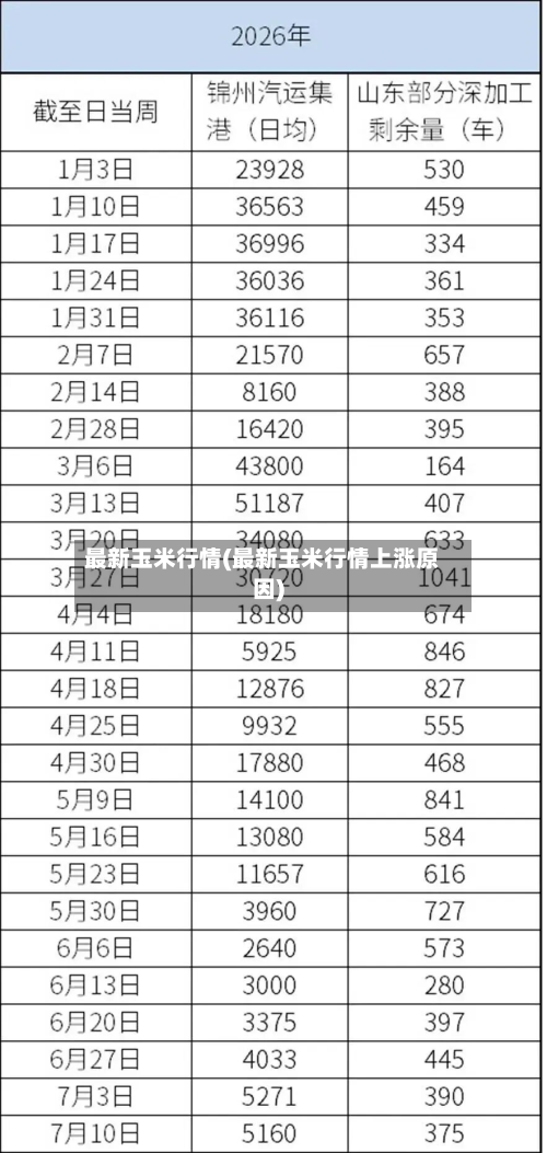 最新玉米行情(最新玉米行情上涨原因)-第1张图片